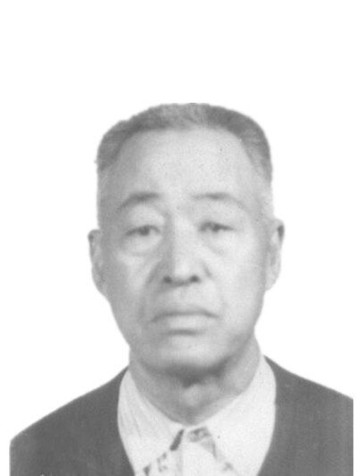王树茂