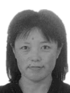 陶美春