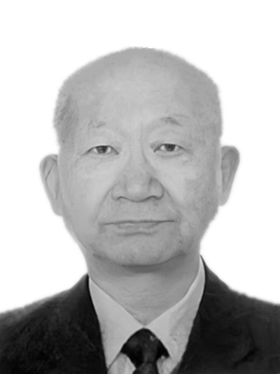 许钒