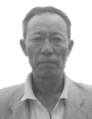 韩金星