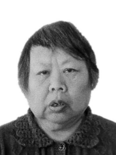 王传凤
