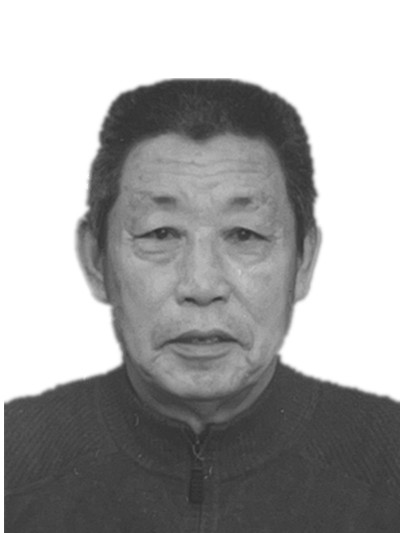 宋成金