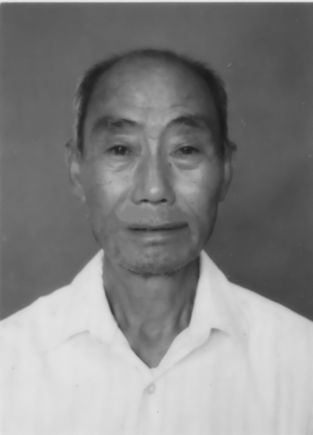 宋木金