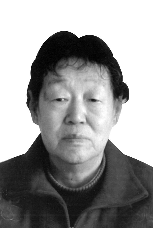 杨丛地
