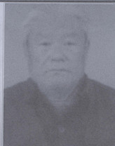 张守礼
