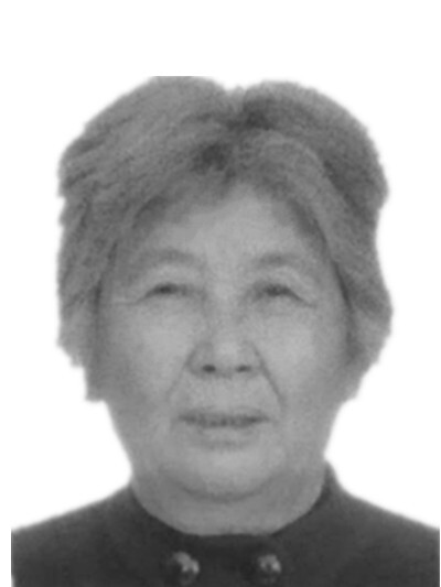赵树兰