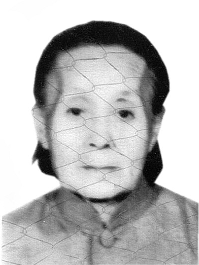 李淑娟