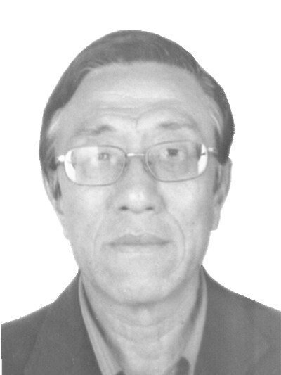 马鹏振
