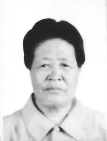于风花