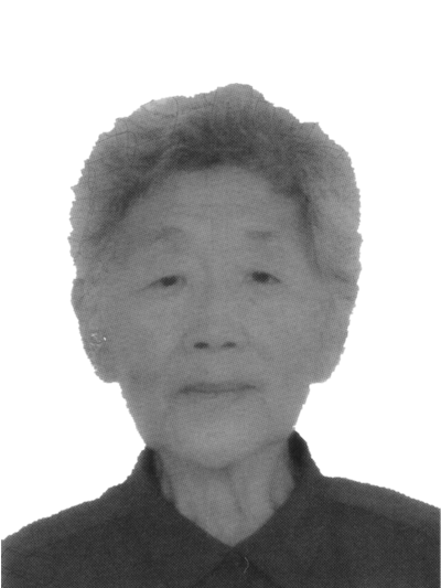 迟素苓