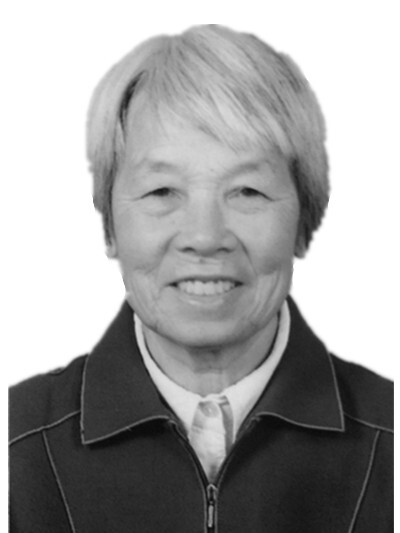 何丽